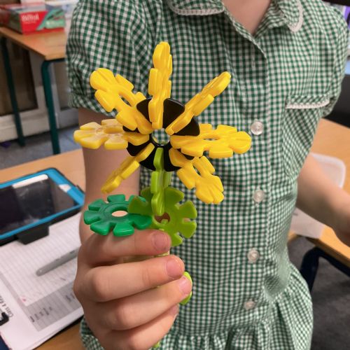 Our learning